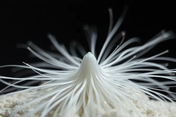 Asbestos – Mineral Facts, History, and Care